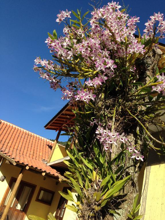 Morada Do Gabriel Hotel Guarda do Embau Bagian luar foto
